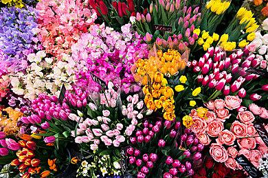 像素悬疑解谜游戏《交界线》7月20日发售同步亮相高能电玩节