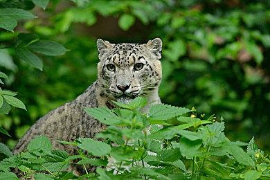 重铸JRPG荣光！《光与影：33号远征队》4.9分登顶PS